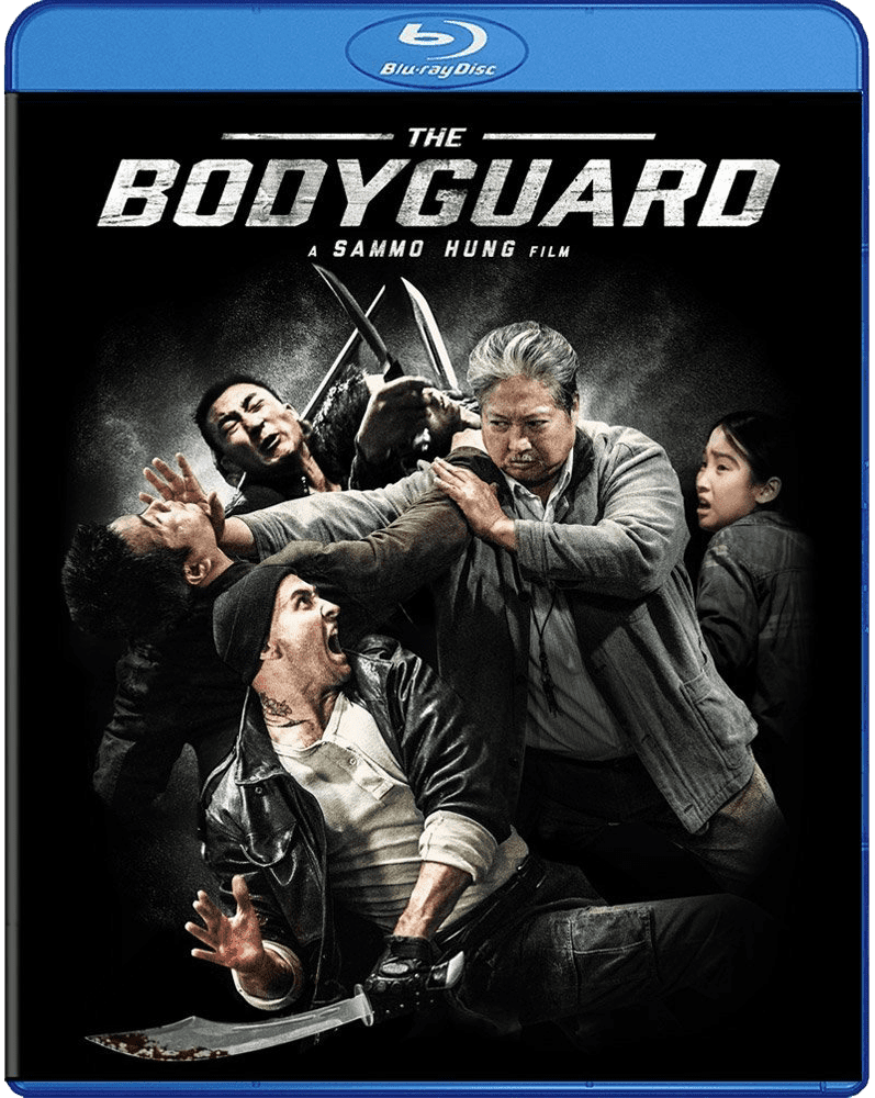 movie the bodyguard free